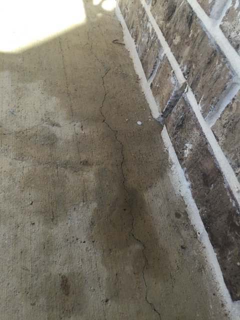 Patio cracks forming everywhere