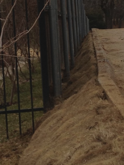 I paid for this to be fixed