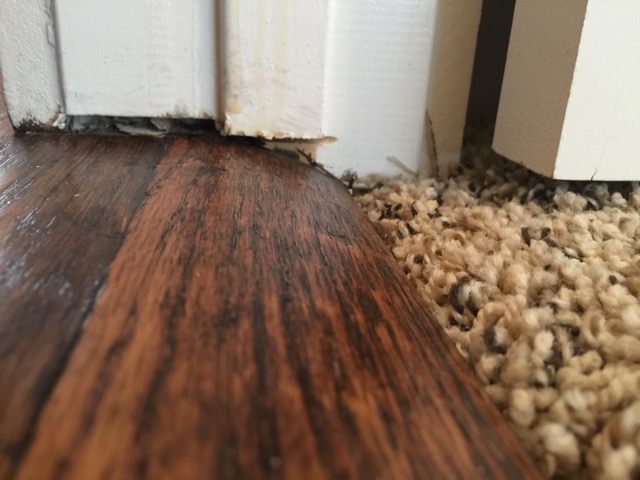 Nice undercut Jimmy!