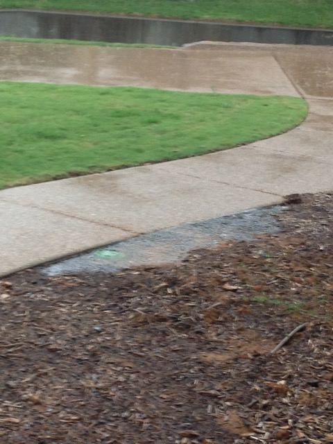 I paid for this to be fixed