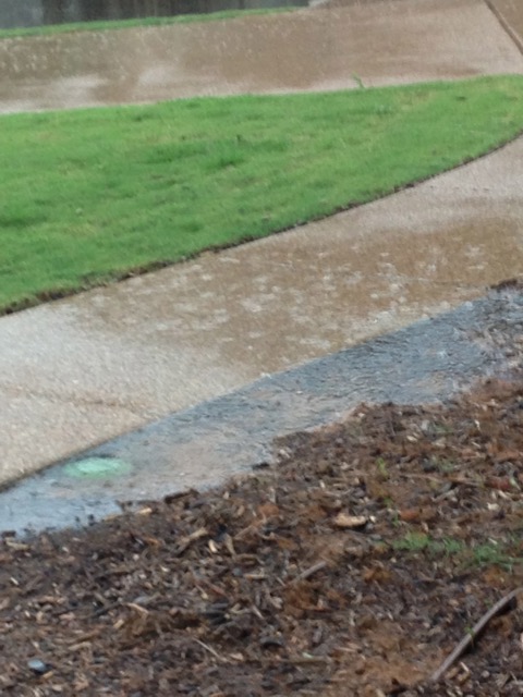 I paid for this to be fixed