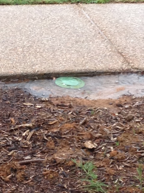 I paid for this to be fixed