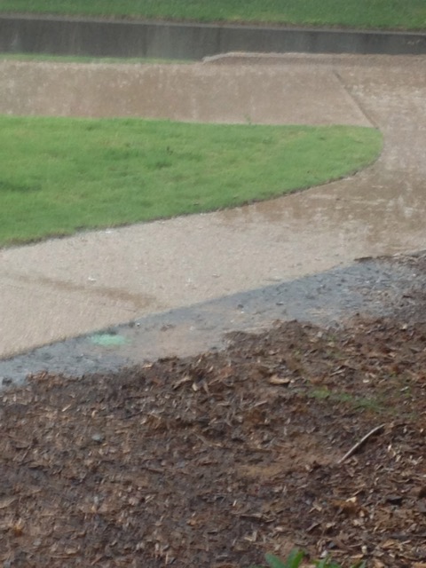 I paid for this to be fixed