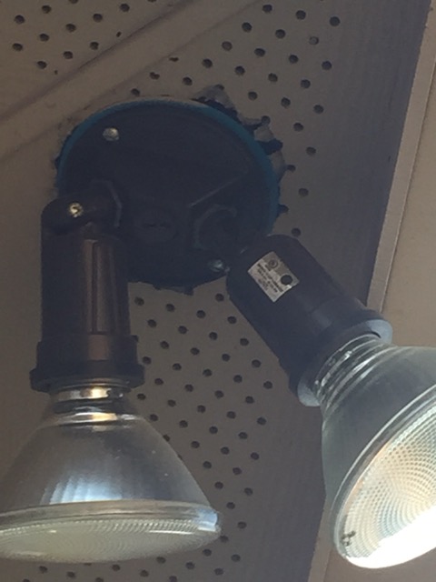 Eave was cut with a hatchet